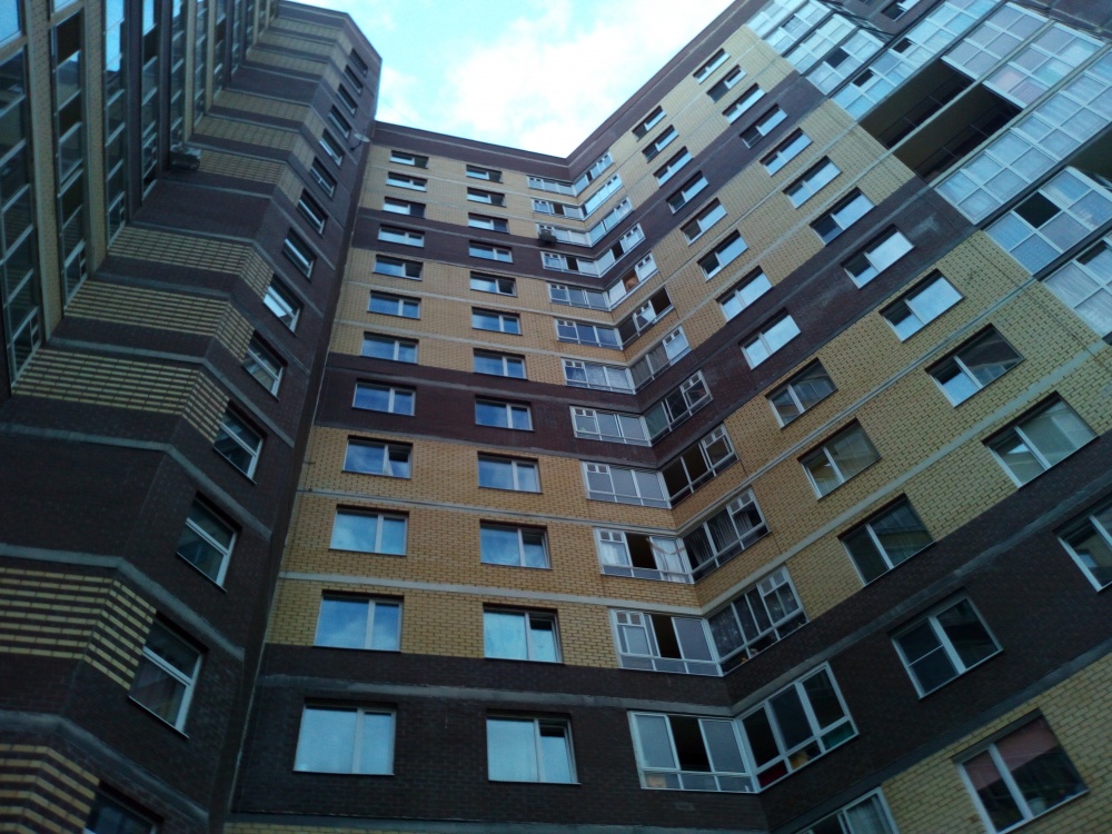 article22858.jpg
