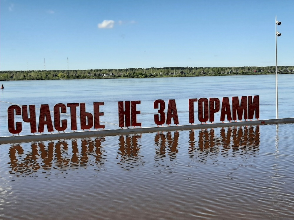 article23021.jpg