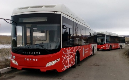 На маршрутах правобережной части Перми изменится количество автобусов