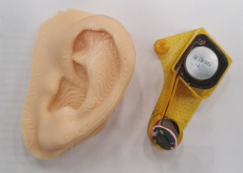 Эстетично и естественно: ученые из Перми и Москвы создали ушную раковину для бионического протеза уха