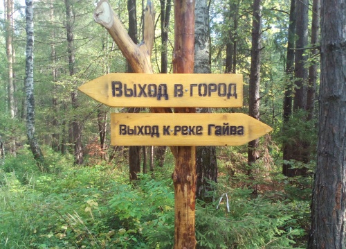 В городских лесах Перми в этом году планируется обновление экотроп и мест отдыха