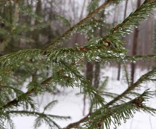 Прогноз погоды в Перми на выходные 28 февраля — 1 марта: Пермь готовится к снежным сюрпризам и мягкой встрече весны
